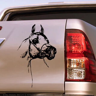 Premium Vinyl Decals